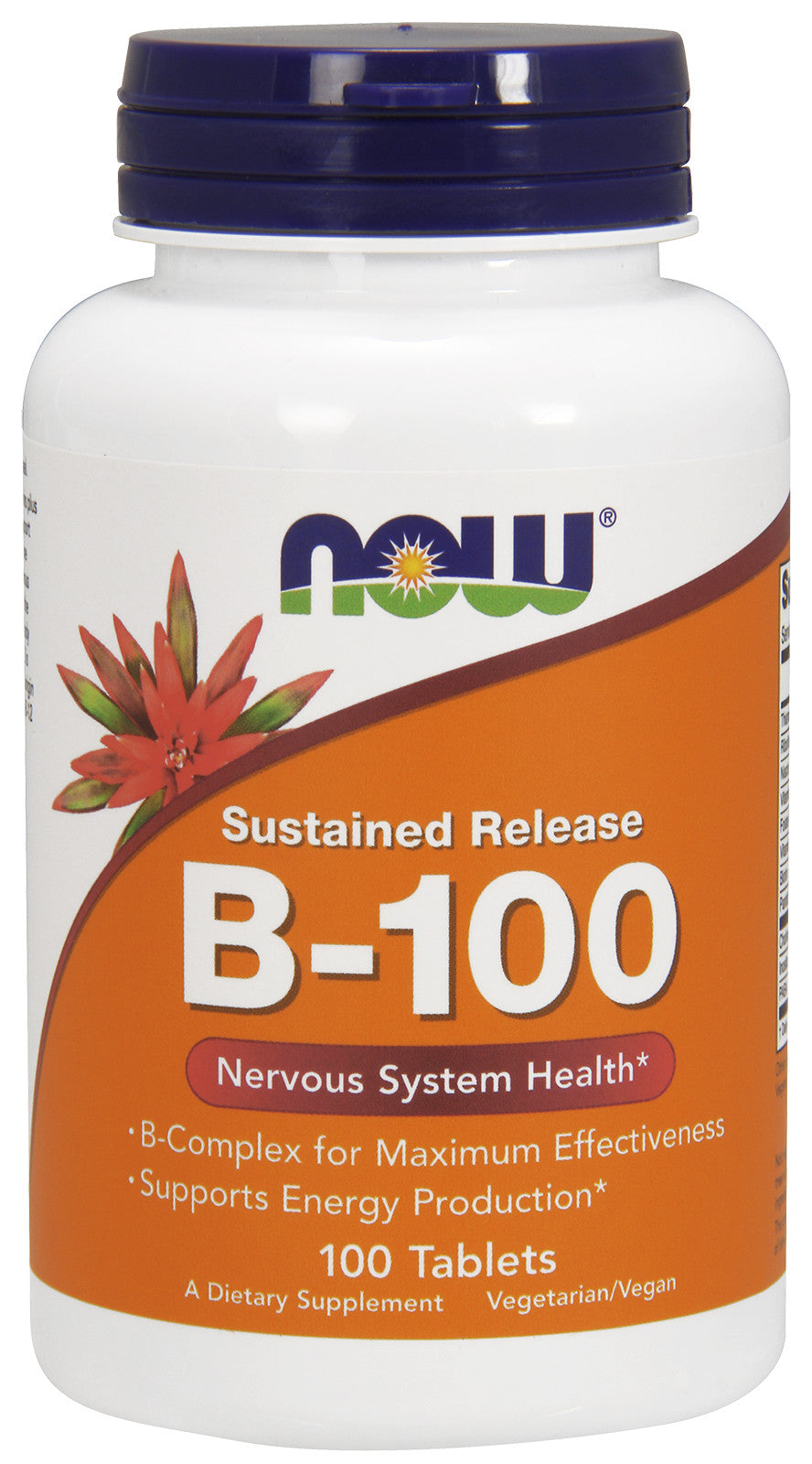 Vitamin B-100 Sustained Release
