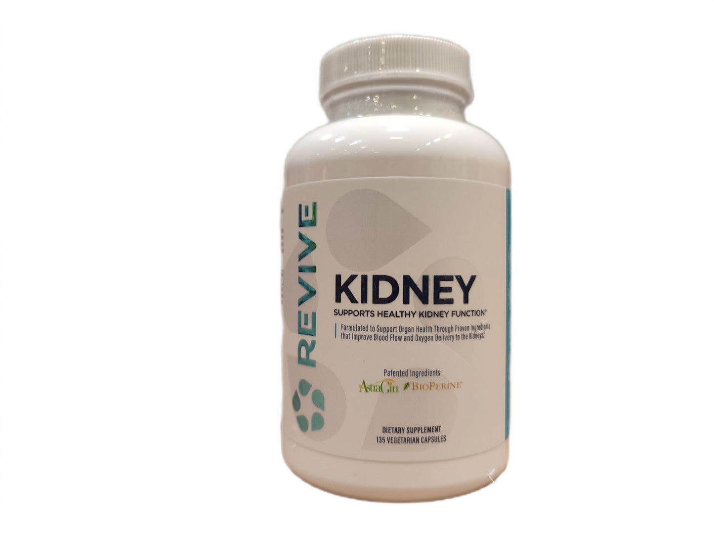 Kidney