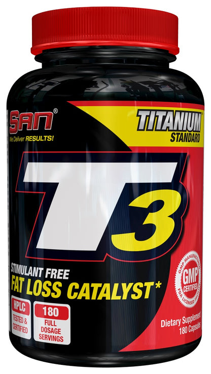 T3