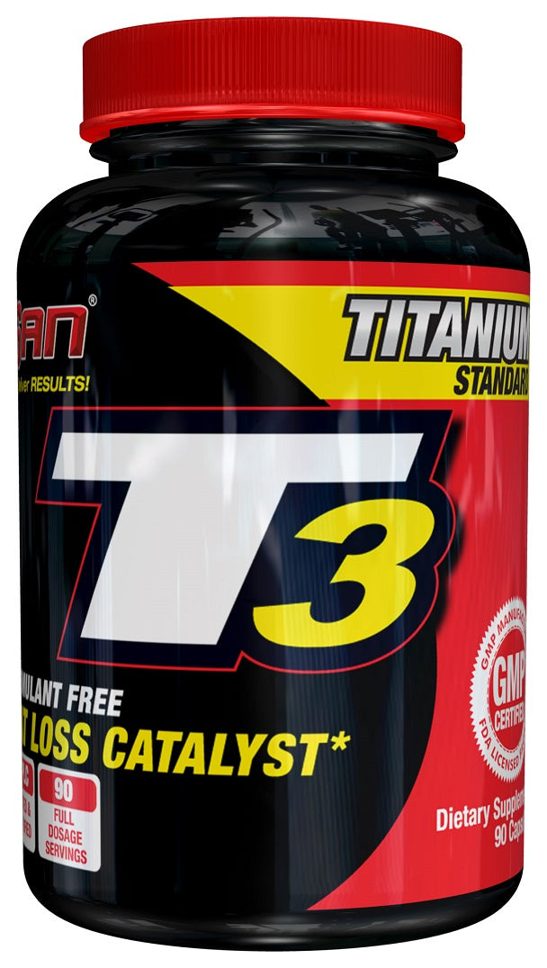 T3