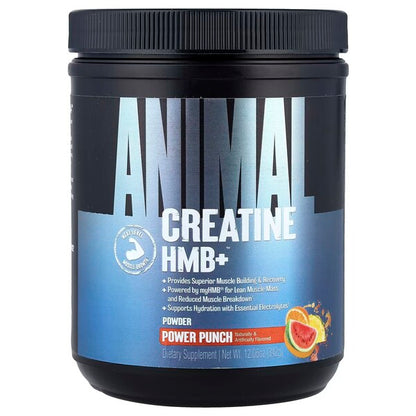 Creatine HMB+ by Animal – product image 2
