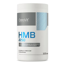 HMB 2250 by OstroVit – product image 2