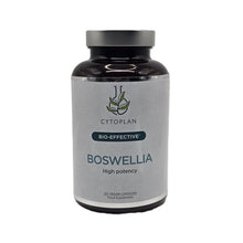 Boswellia - 120 vcaps